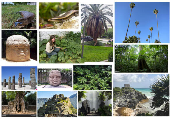 Moodboard 2
